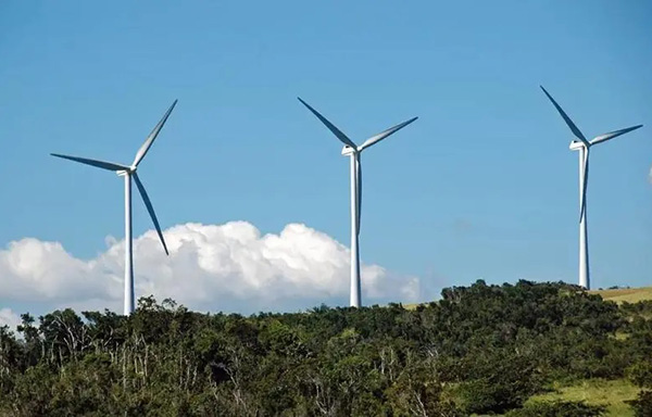  风力发电机外观有什么特点？？？？？？？