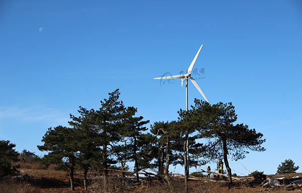 怎样选址以优化小型风力发电机效能与清静？？？？？？？